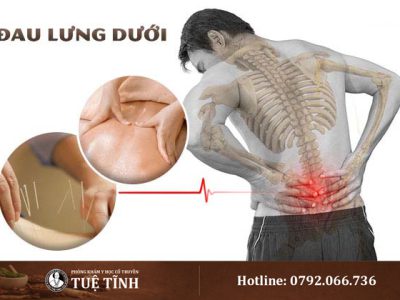 dau-lung-duoi