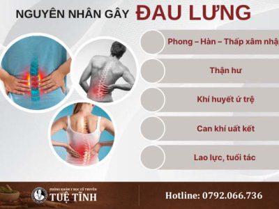 nguyen-nhan-dau-lung