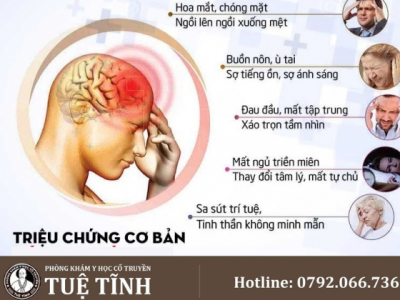 tiền đình (6)