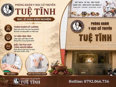 tuệ tĩnh 3